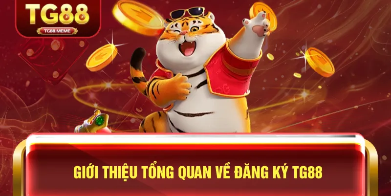 Giới Thiệu Tổng Quan Về Đăng Ký TG88